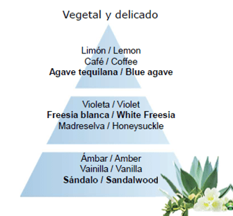 Jardin D’Agaves – Líquido para lámpara catalítica 500ml - Imagen 2